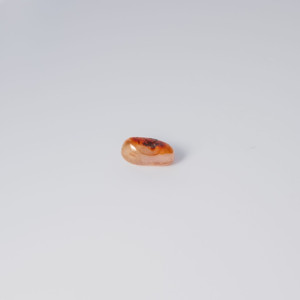 image 3 carre-2.webp