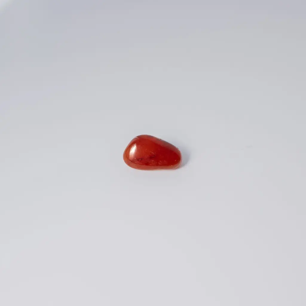 image 3 carre-2.webp