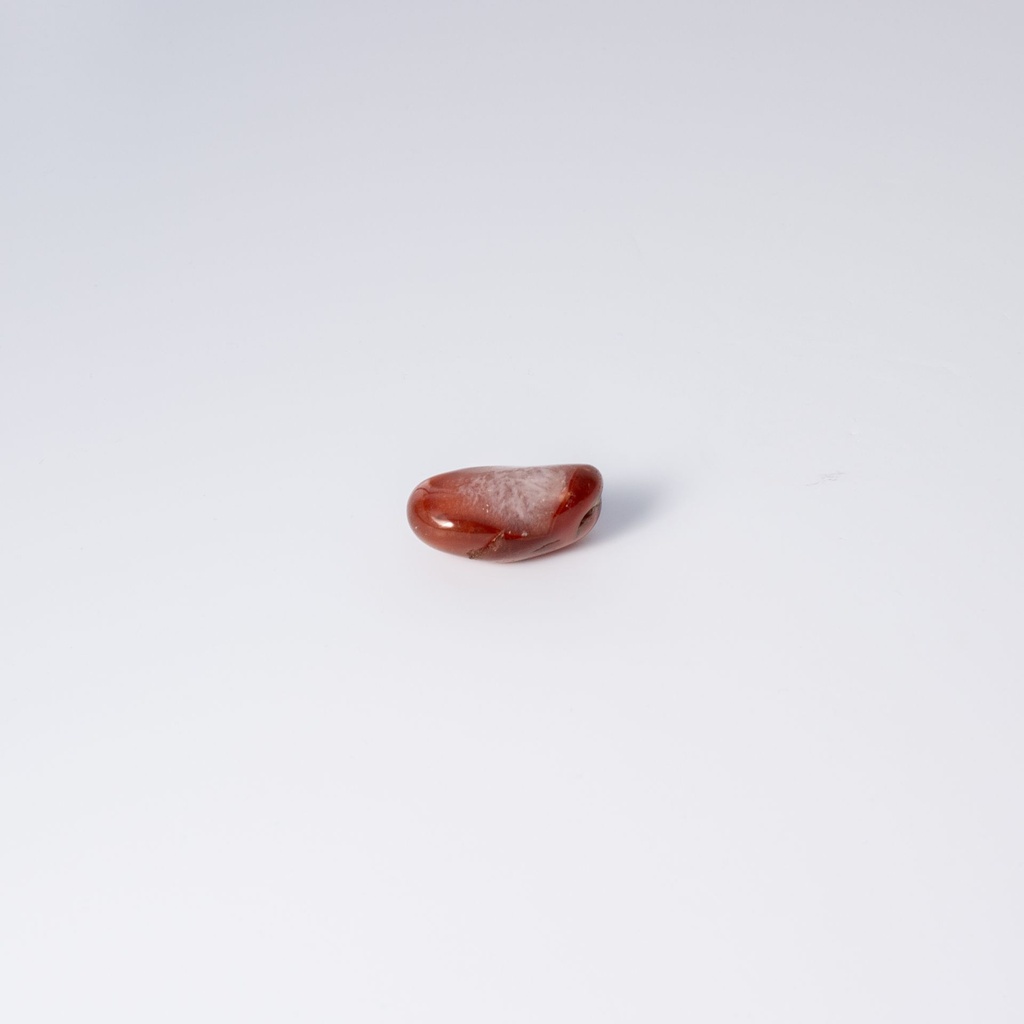 image 3 carre-2.webp