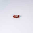 image 3 carre-2.webp