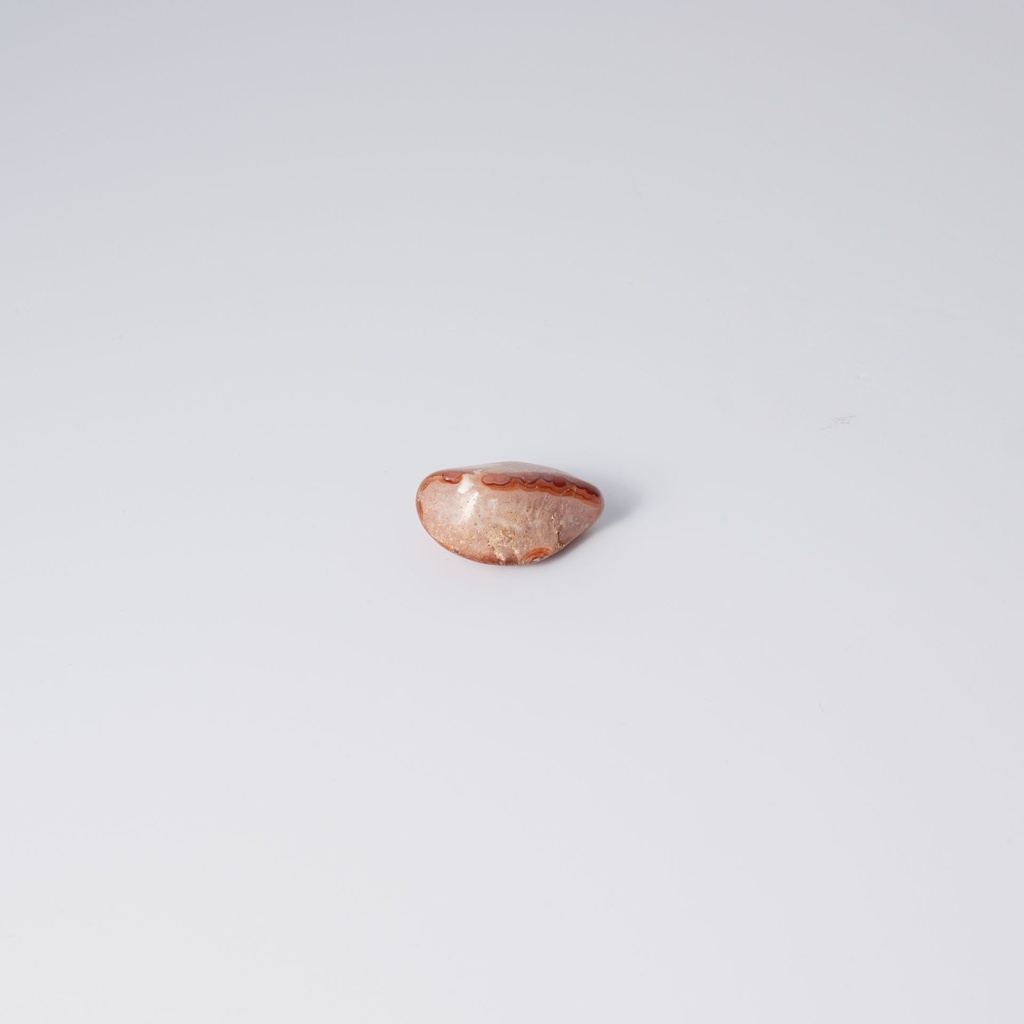 image 3 carre-2.webp