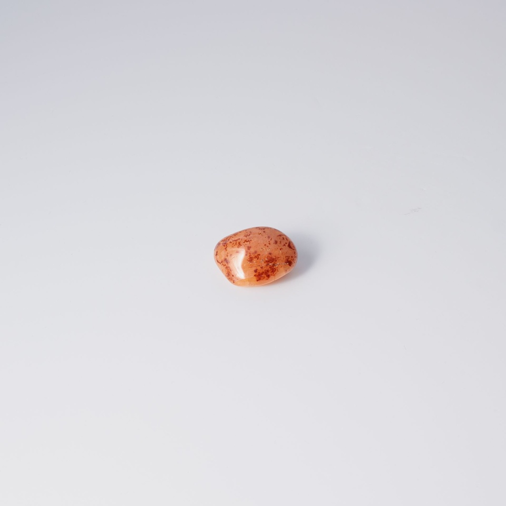 image 3 carre-2.webp