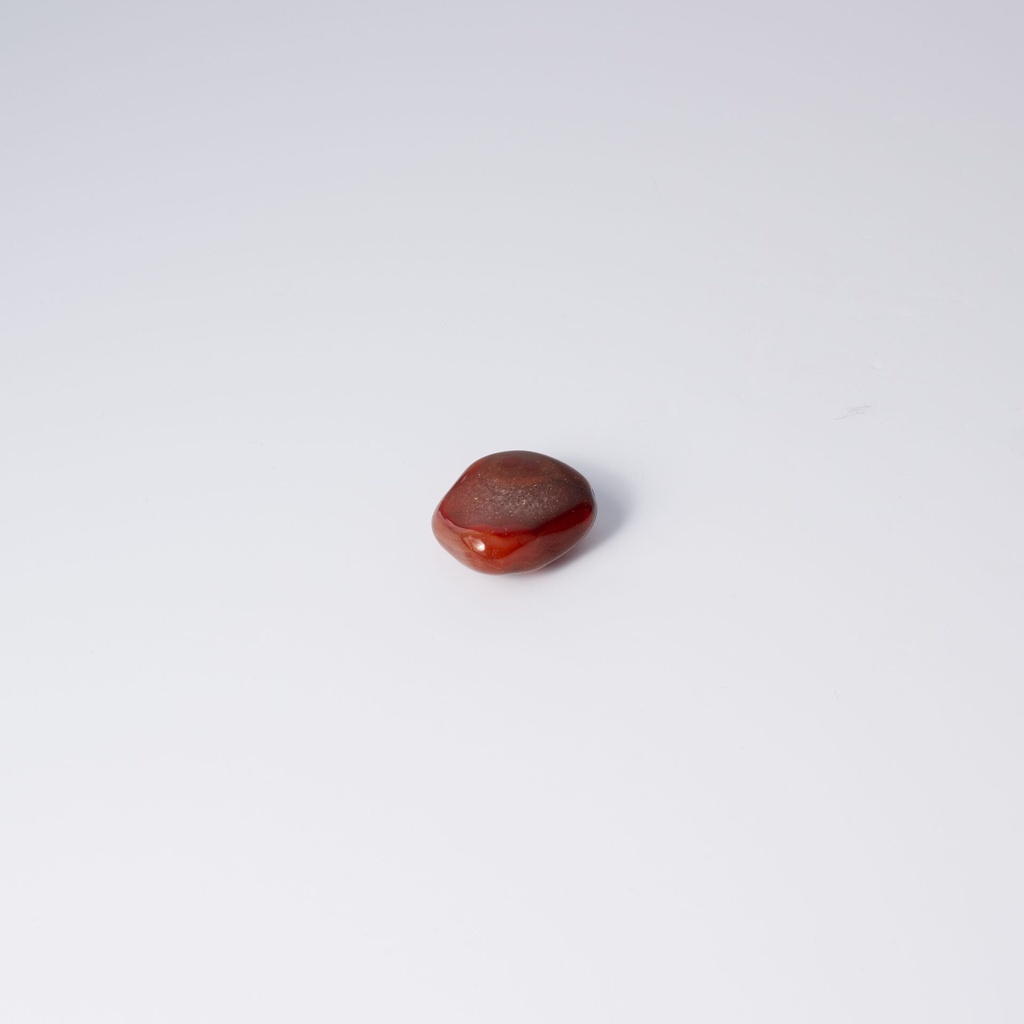 image 3 carre-2.webp