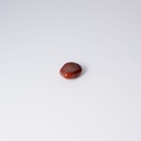 image 3 carre-2.webp