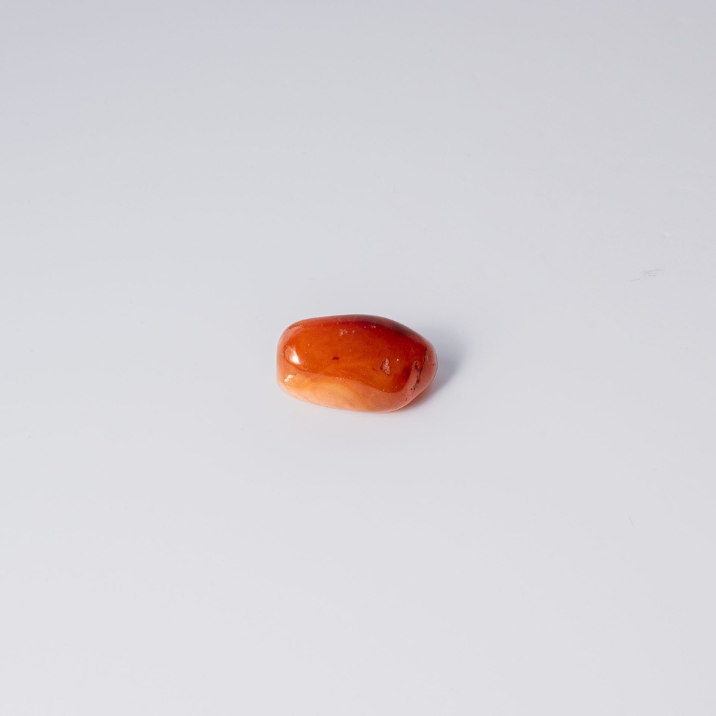 image 3 carre-2.webp