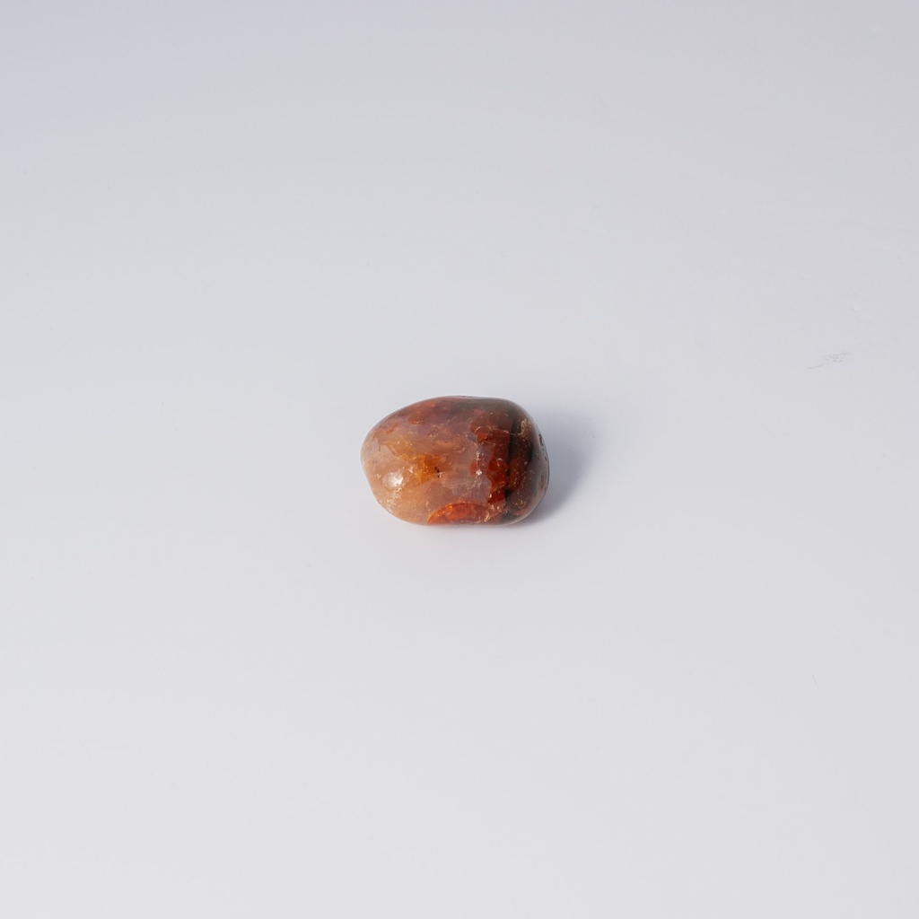 image 3 carre-2.webp