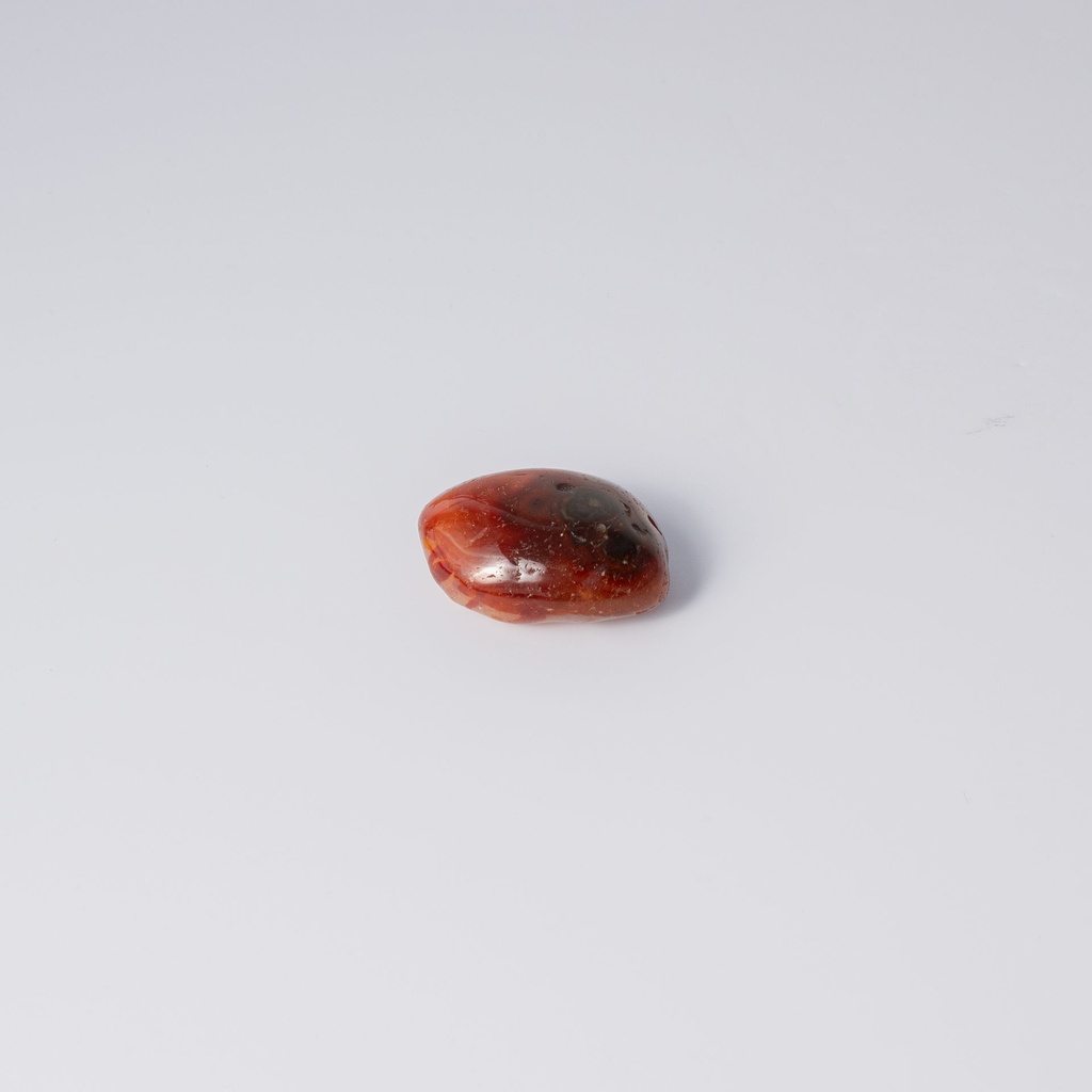 image 3 carre-2.webp