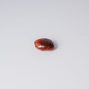 image 3 carre-2.webp