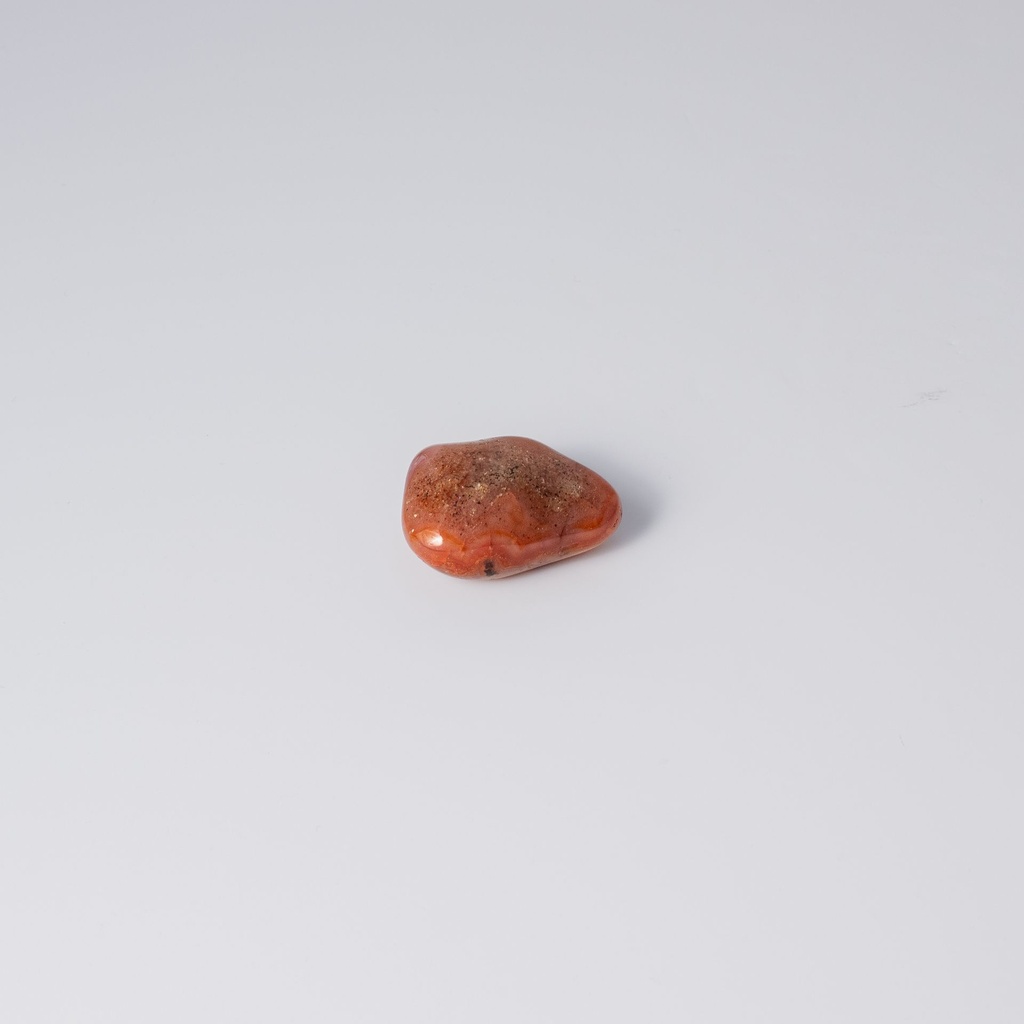 image 3 carre-2.webp
